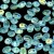 Superduo - Aqua AB Matted