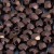 cseh csiszolt 4 mm dark bronze -40 db