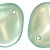 szirom 14x13 mm-halo heaven-5 db